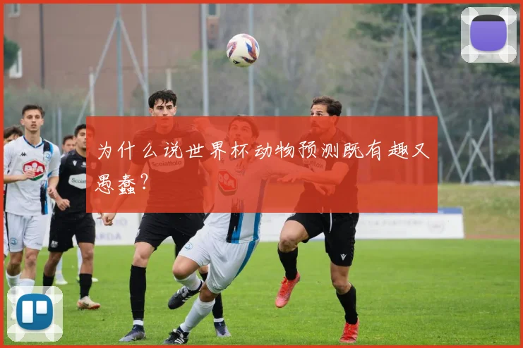为什么说世界杯动物预测既有趣又愚蠢?