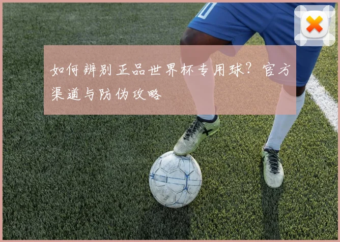 如何辨别正品世界杯专用球？官方渠道与防伪攻略
