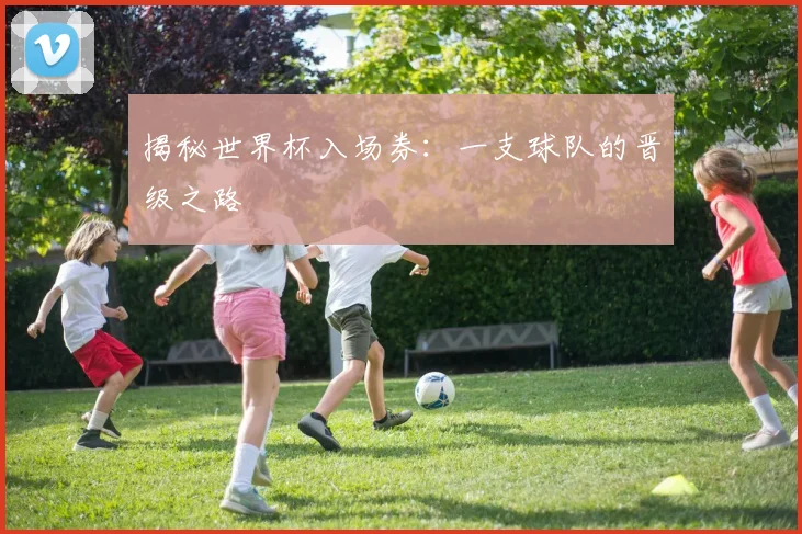 揭秘世界杯入场券：一支球队的晋级之路