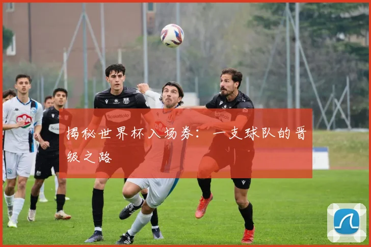 揭秘世界杯入场券：一支球队的晋级之路