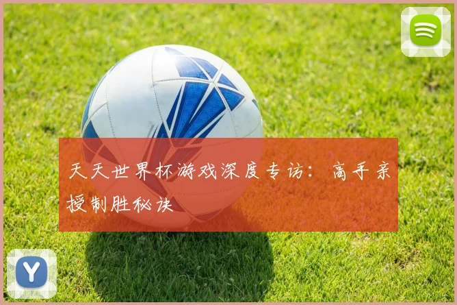 天天世界杯游戏深度专访：高手亲授制胜秘诀